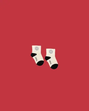 0-6M - Baby Socks with Daisy Logo