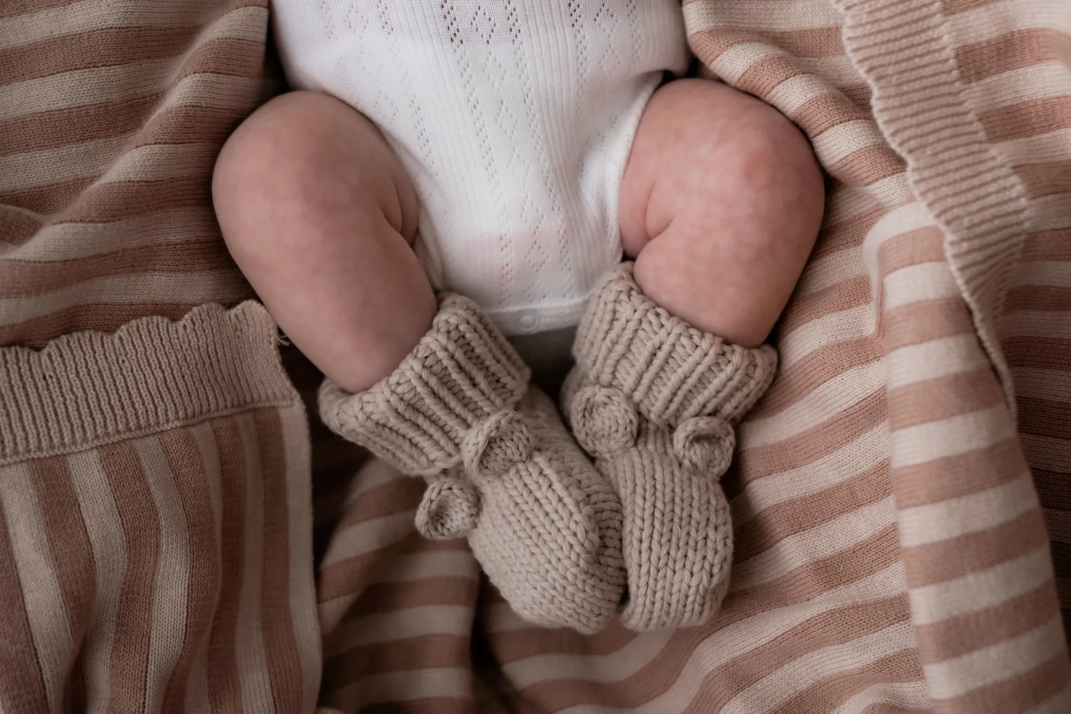 Beary Booties | Biscuit- Pop Ya Tot
