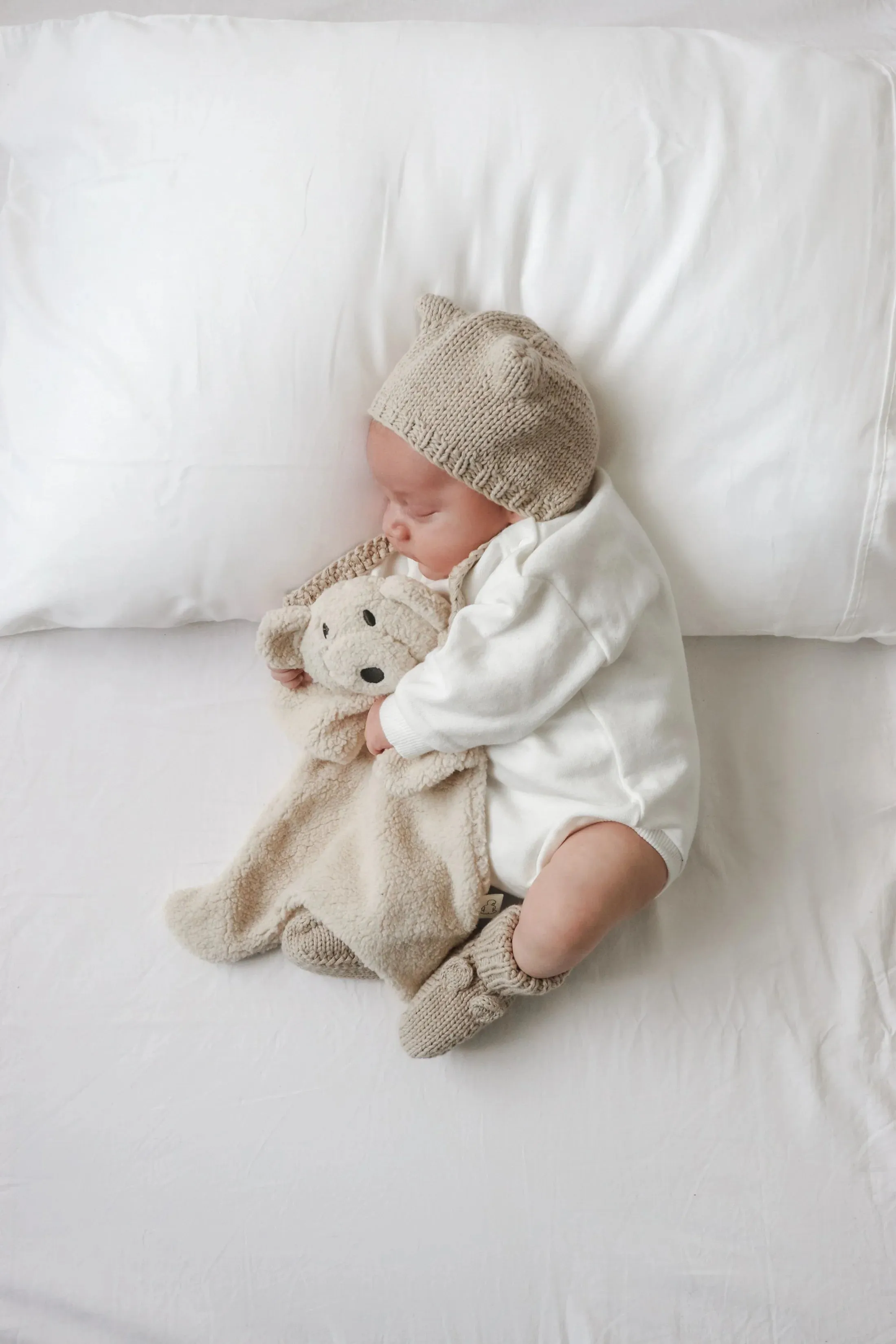 Beary Booties | Biscuit- Pop Ya Tot