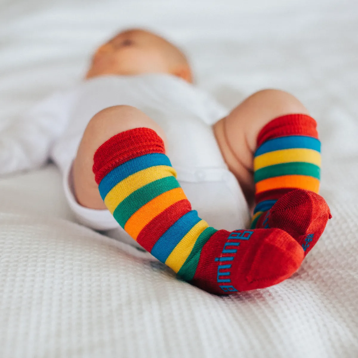 Lamington Knee High Socks - Scooter