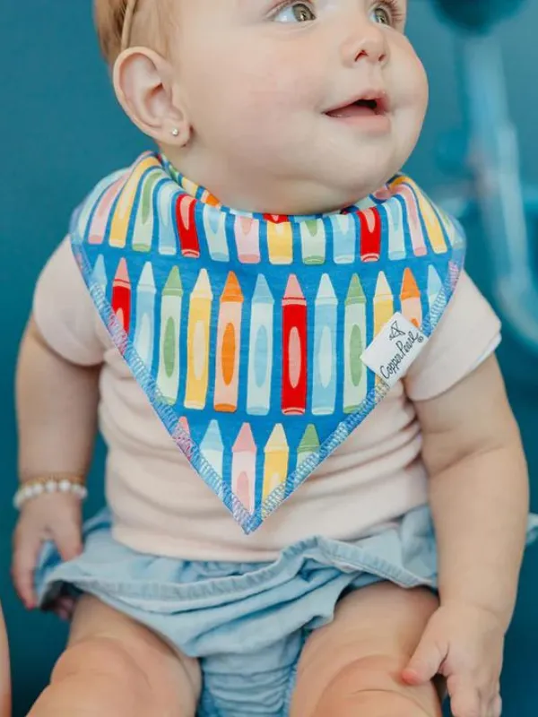 Teacher Bandana Bibs by Copper Pearl